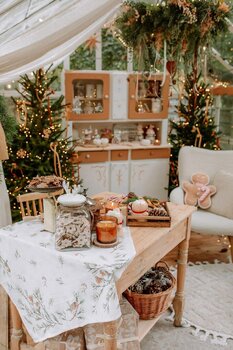 Sesja świąteczna w szklarni, Poznań - 8 i 15 listopada 2025