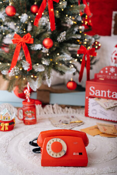 Mini Sesje Świąteczne 2025