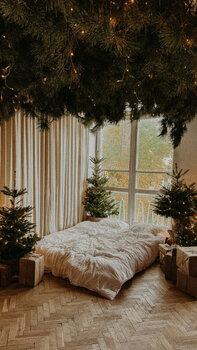 Mini sesja Świąteczna w studiu Mała Noc 29.11.25