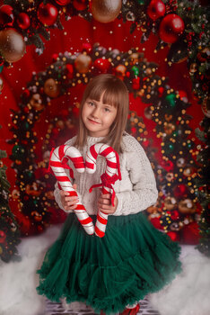Christmas Studio Mini Session 2024