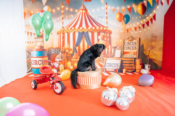 sesja dziecięca/rodzinna/roczkowa