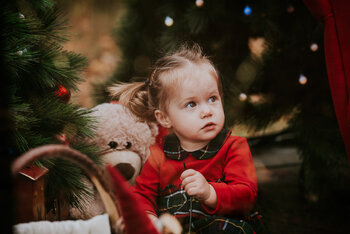 Wynajem Brzozowego Studia