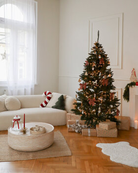 Sesja świąteczna w studio