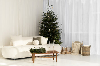 Sesja świąteczna - Wysogotowo, Poznań