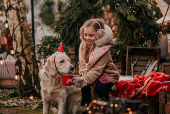 Warszawa Wawer  - sesja  świąteczna w szklarni "KADRY NA JEZIOROWEJ" 2025