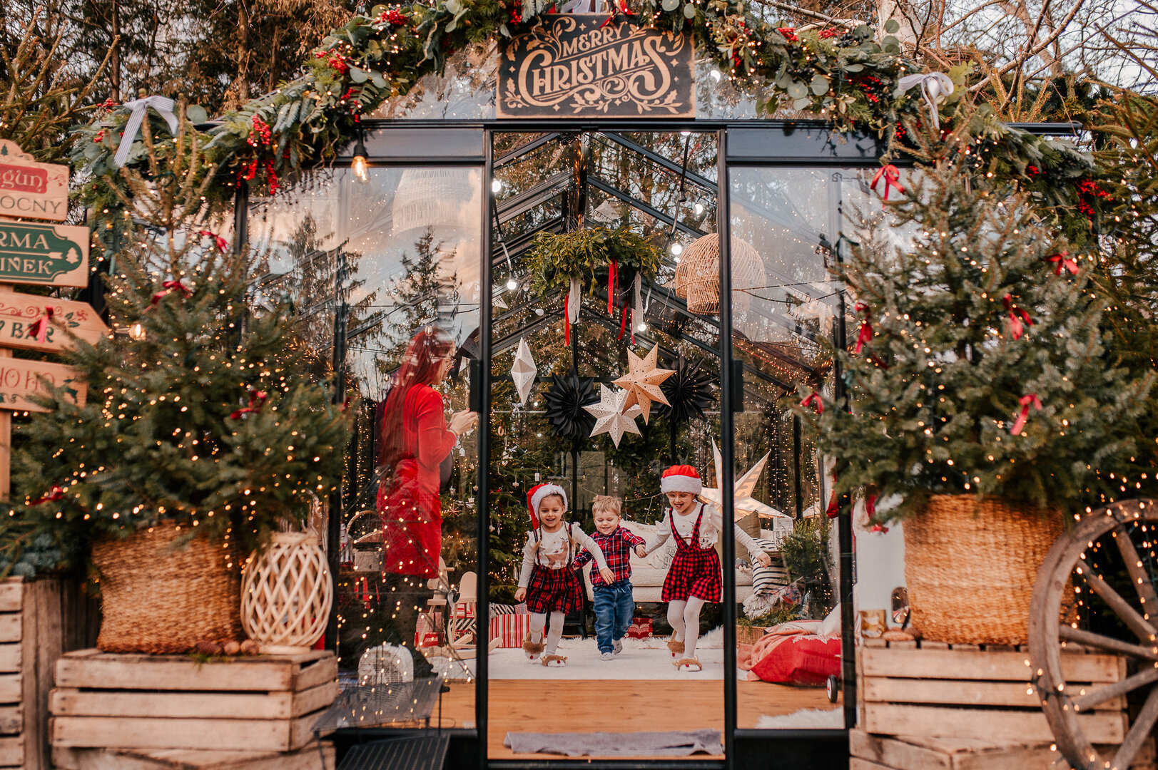 Warszawa Wawer  - sesja  świąteczna w szklarni "KADRY NA JEZIOROWEJ" 2025