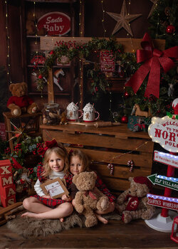 Christmas Mini Sessions 