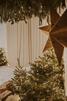 Mini sesja ŚWIĄTECZNA - Studio Minimalistyczne Mała Noc