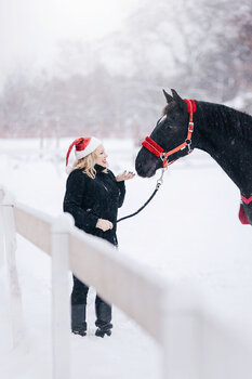 Świąteczna Mini Sesja Jeździecka