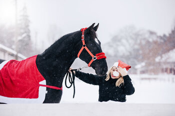 Świąteczna Mini Sesja Jeździecka