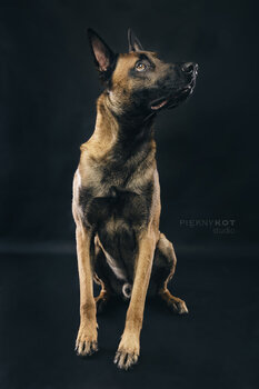 Dla pupila / Z pupilem