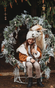 Alpacas Mini Session