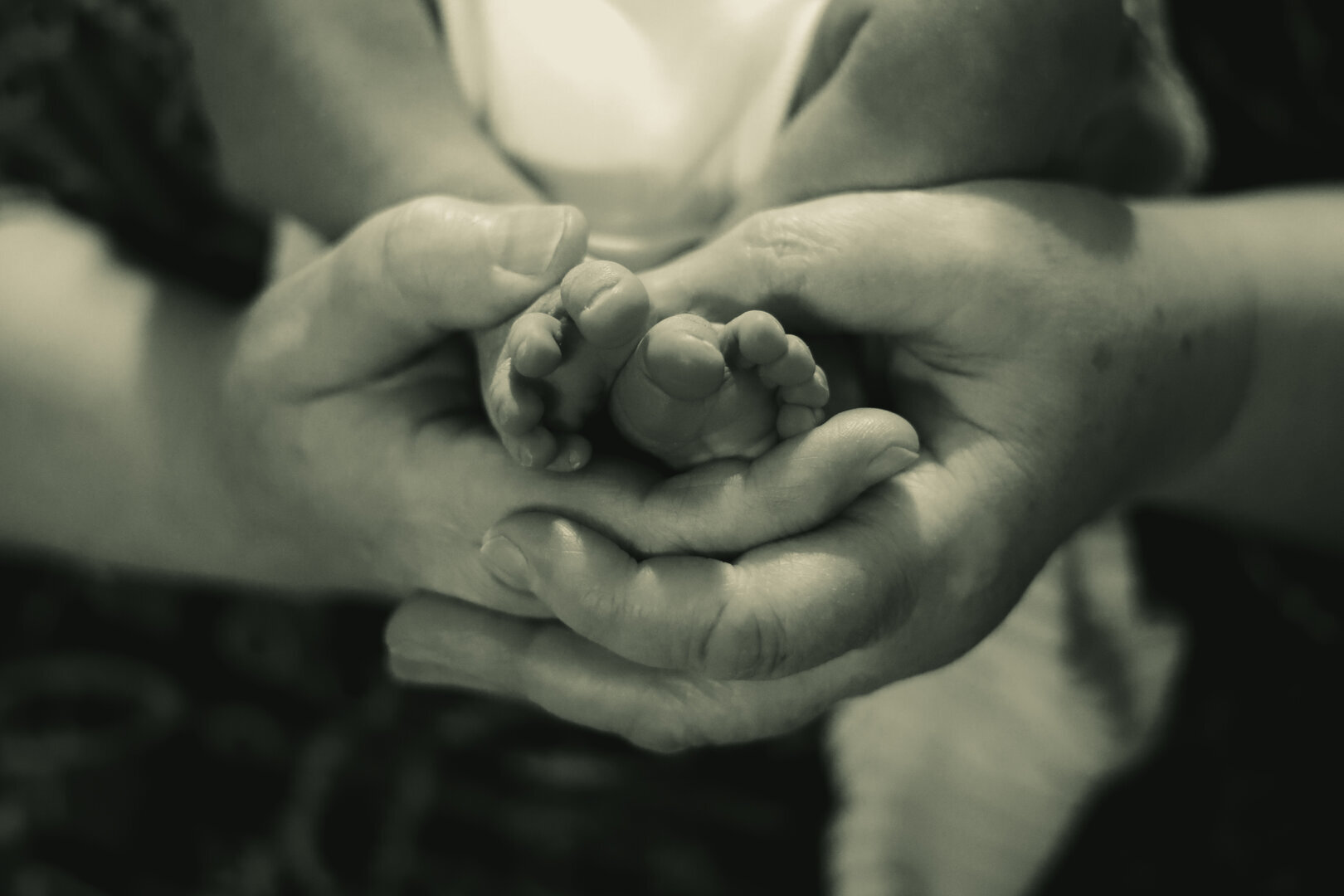 Mini Sesja DZIEŃ BABCI I DZIADKA