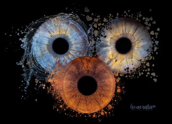 Artistic photos of the iris of the eye