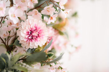 Sesje zdjęciowe w Studio Chałupki