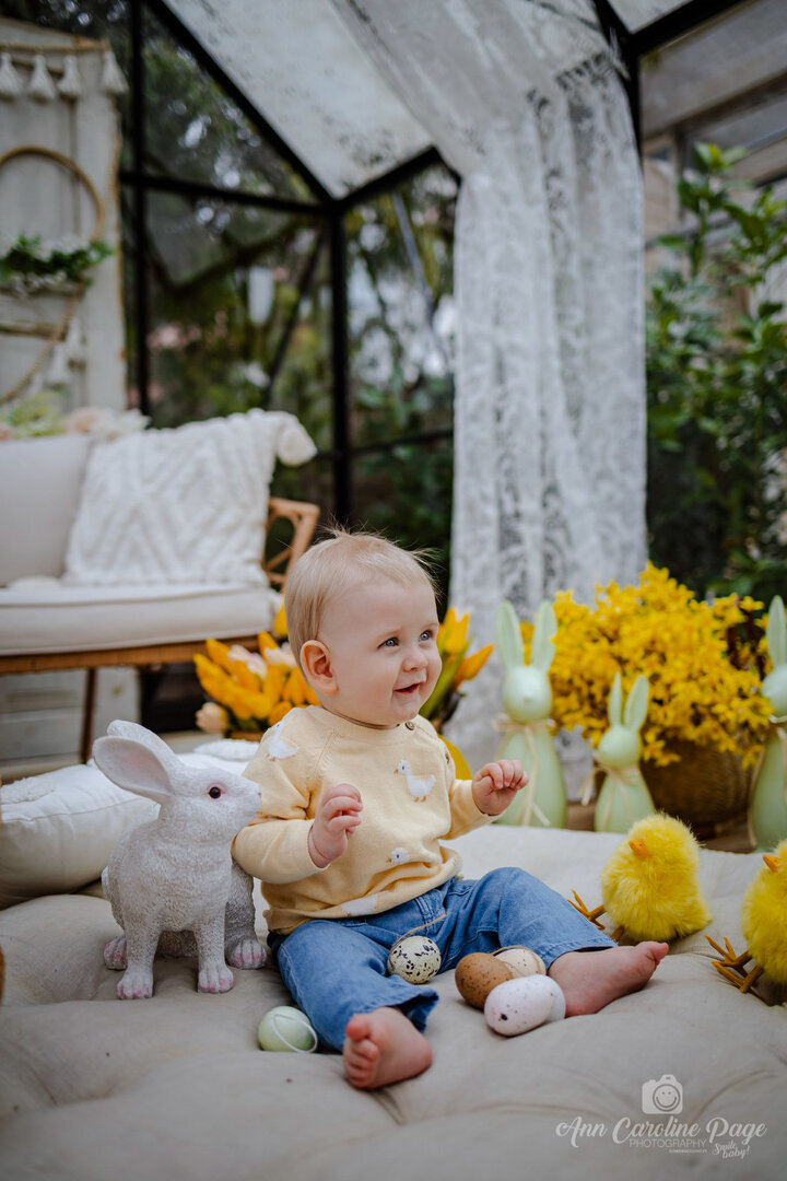 🌼Sesja wiosenna w szklarni 🌼