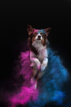Sesja w proszkach holi
