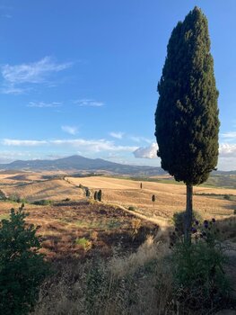 A Golden Hour Escape in Val d'Orcia - Tuscany (July 2025)