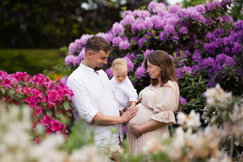 Sesja w rododendronach 