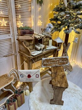 Sesja świąteczna 2025