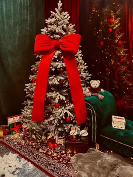 Sesja świąteczna 2025