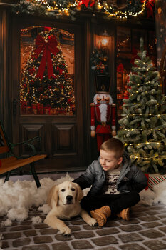 🎅 Sesje Świąteczne 2025 🎅