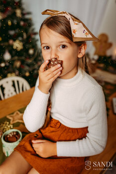 🎄 Magic Christmas Mini-Sessions 2025 🎄