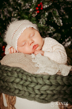 🎄 Capture the festive magic! Secure your unforgettable Christmas mini session ✨ 