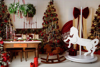 🎀🌲SESJE ŚWIĄTECZNE 2025🌲🎀