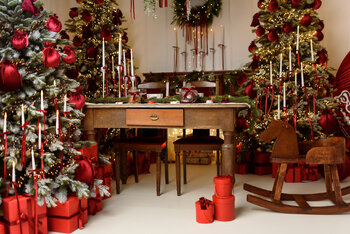 🎀🌲SESJE ŚWIĄTECZNE 2025🌲🎀