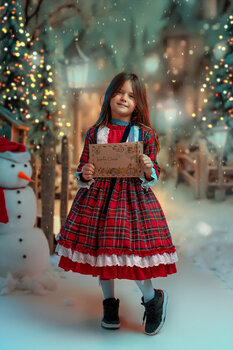 🎄 Christmas Mini Sessions 2026 🎄