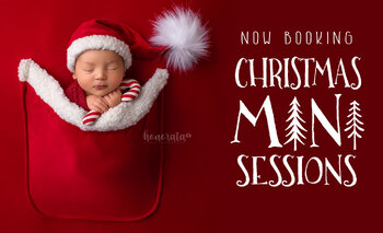 🎄 Christmas Mini Sessions 2026 🎄