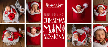 🎄 Christmas Mini Sessions 2026 🎄