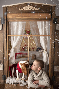 Mini sesje świąteczne 2025