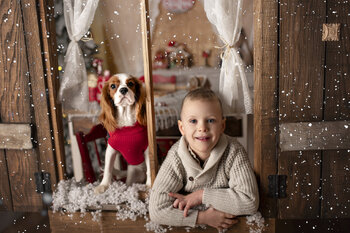 Mini sesje świąteczne 2025