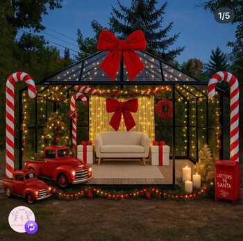 Mini sesja w szklarnie Marzeń 