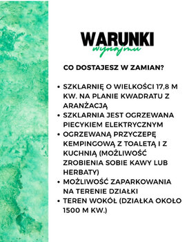 Mini sesja w szklarnie Marzeń 