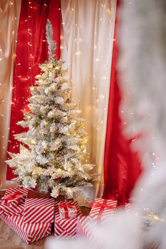 🎄 Sesje świąteczne – Szklarnia + plener  [Warszawa, Tarchomin]