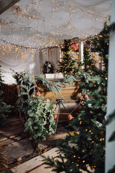 🎄 Sesje świąteczne – Szklarnia + plener  [Warszawa, Tarchomin]