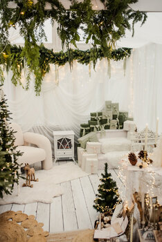 ✨Sesje świąteczne w Białej Szklarni 2025✨