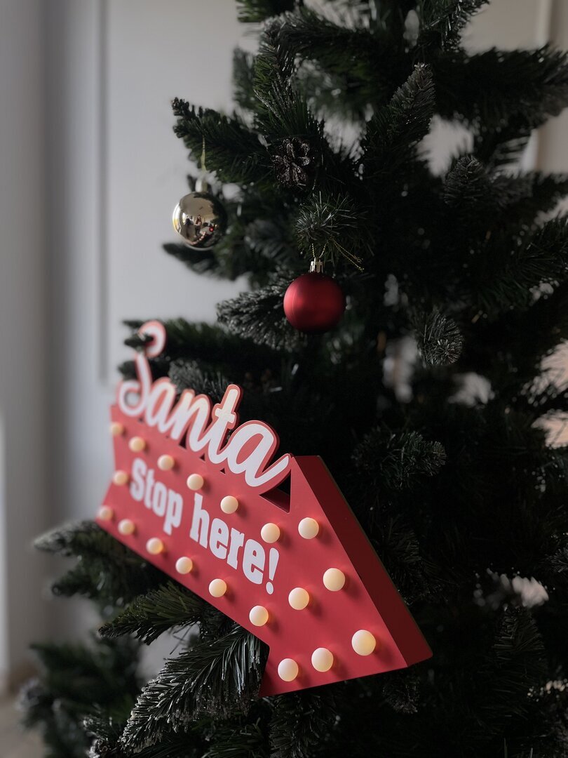 Sesja świąteczna 2025