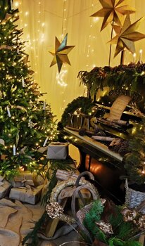 Mini Sesja Świąteczna 