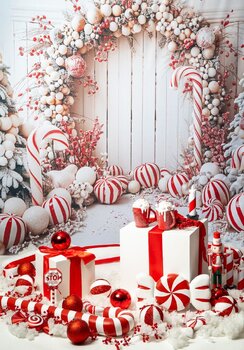 Mini Sesja Świąteczna 