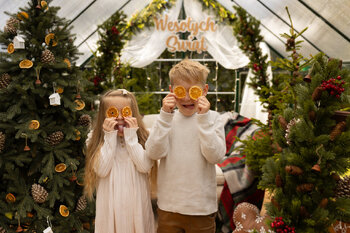 Sesja świąteczna 2025r. w tygodniu