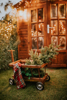 Mini sesje świąteczne w szklarni i domku