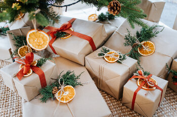 Poświąteczne sesje w szklarni Tarczyn - styczeń 2026