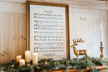 Poświąteczne sesje w szklarni Tarczyn - styczeń 2026