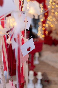 Sesja Walentynkowa w szklarni