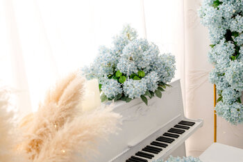 🌸 Sesje wiosenne 2026 🌸