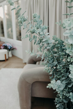 Wiosna w szklarni DLA FOTOGRAFA